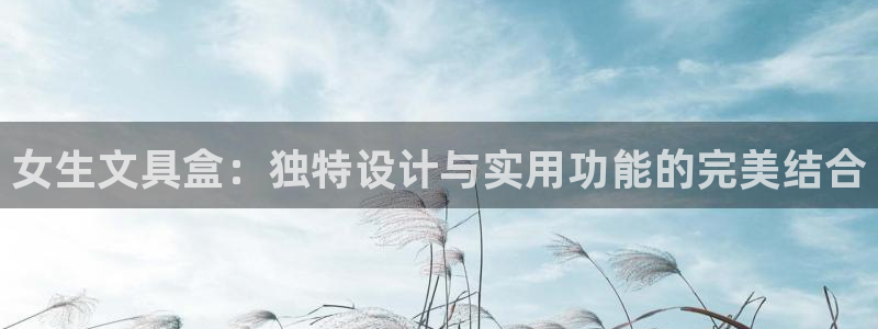 天顺娱乐中943994：女生文具盒：独特