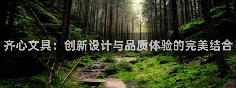 天顺娱乐嘿72182：齐心文具：创新设计