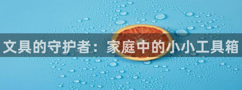 天顺娱乐夷 66 6：文具的守护者：家庭