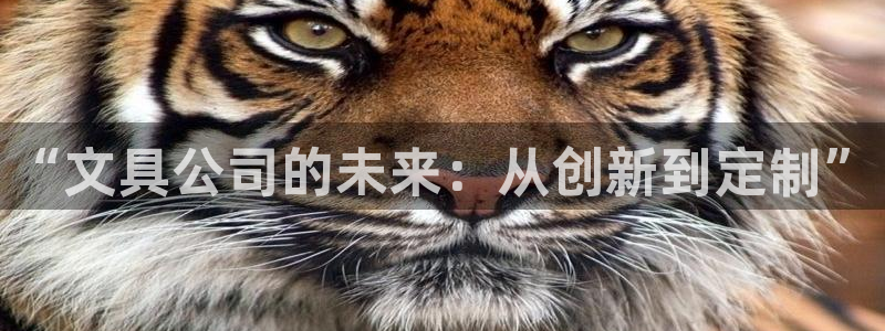 天顺娱乐登录入口：“文具公司的未来：从创