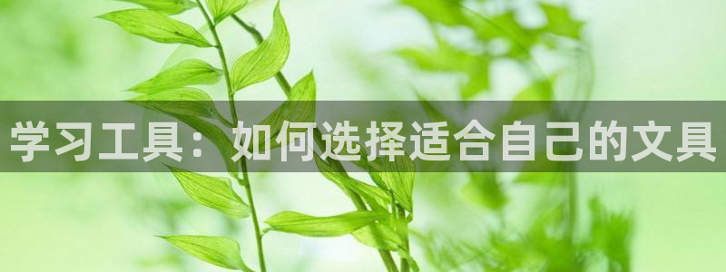 天顺娱乐舞厅怎么样：学习工具：如何选择适