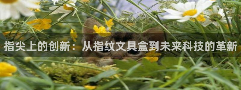 天顺娱乐掌筒32oo59亚：指尖上的创新