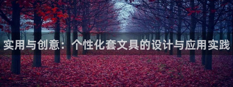 上海汇天顺娱乐公司：实用与创意：个性化套