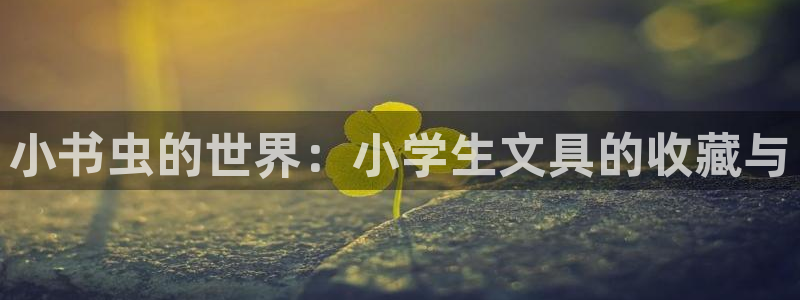 天顺娱乐主管家：小书虫的世界：小学生文具